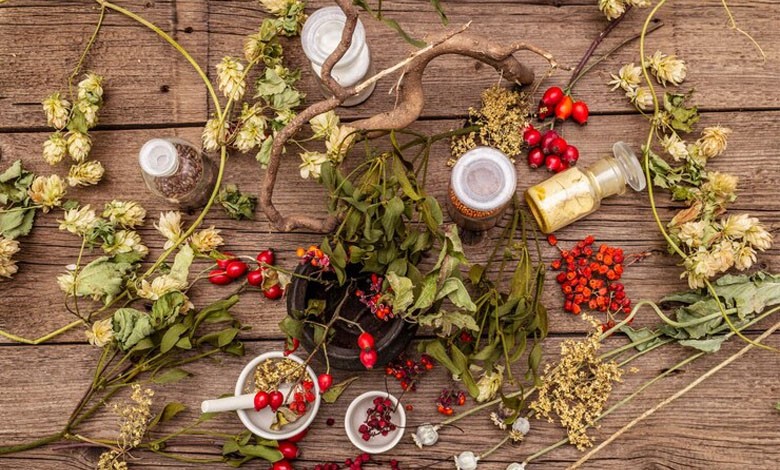 Sức mạnh của thảo dược trong việc bảo vệ cơ thể khỏi bệnh tật